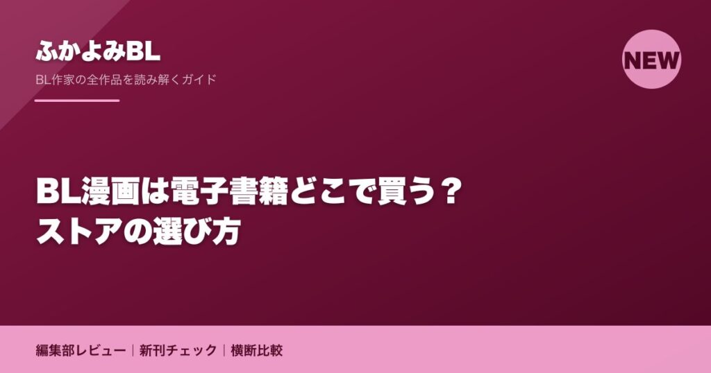 BL漫画は電子書籍どこで買う？ストアの選び方