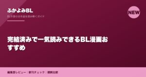 完結済みで一気読みできるBL漫画おすすめ